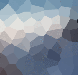 theme_placeholder